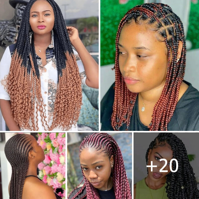 African Hair Braids And Twist For Very Pretty Ladies