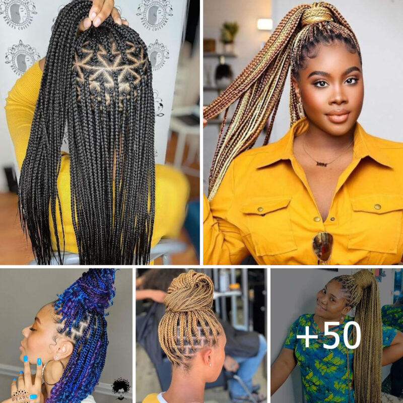 50 Fabulous Box Braids Protective Styles on Natural Hair with Full Guide for 2023