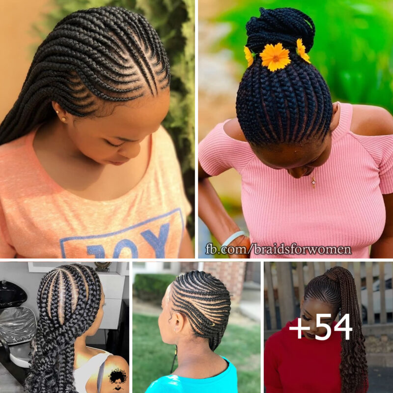 54 Incredible Braid Hairstyles You Will Love