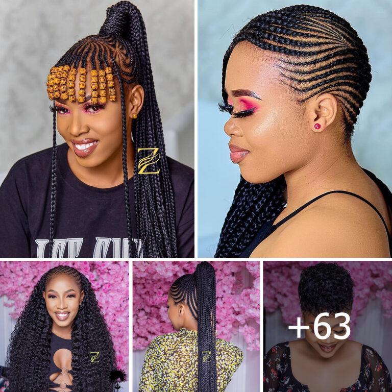 63 PHOTOS:  Braids Hairstyles Gallery