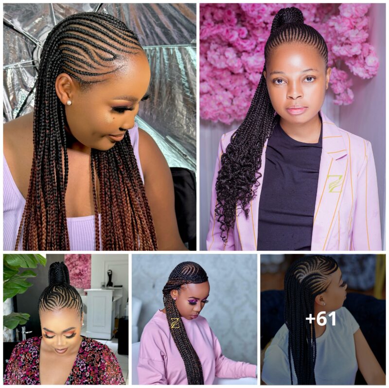 61 Lovely Braid Hairstyles for 2025