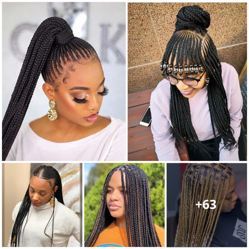 63 PHOTOS: Stunning Black Braided Hairstyle