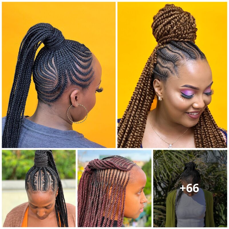 66 PHOTOS: Professional cornrow hairstyles & Knotless braids 