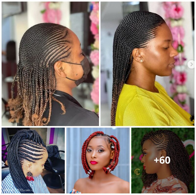 60 PHOTOS: Luxury braided hairstyles for ladies ‎