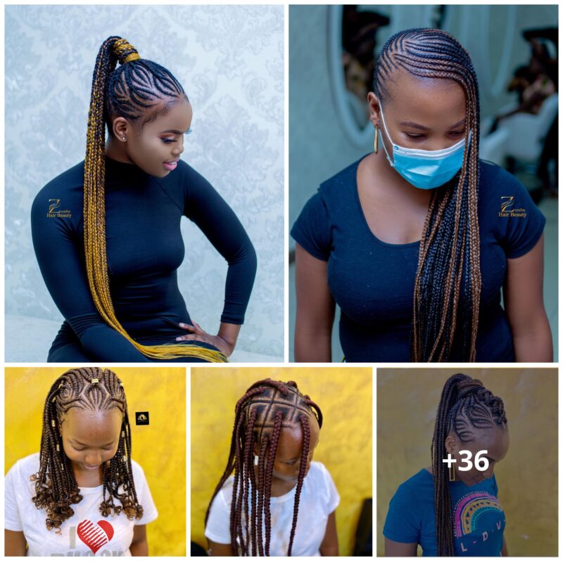 [GALLERY] 36+ Braided Hairstyles 2024 Photo Showcase