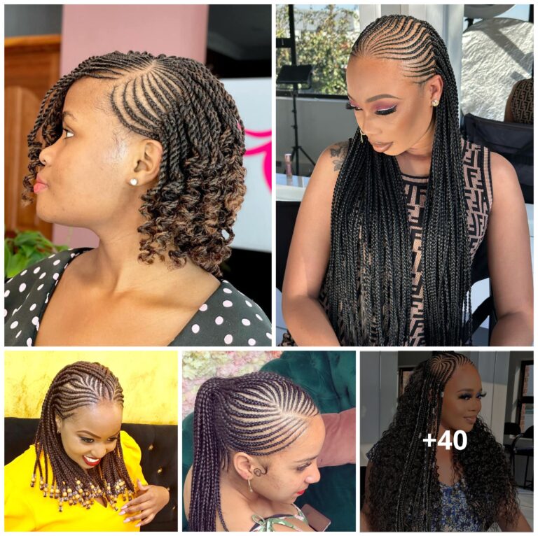 [GALLERY] – 40 Stunnι̇ng Braided Hairstyles You Need To See