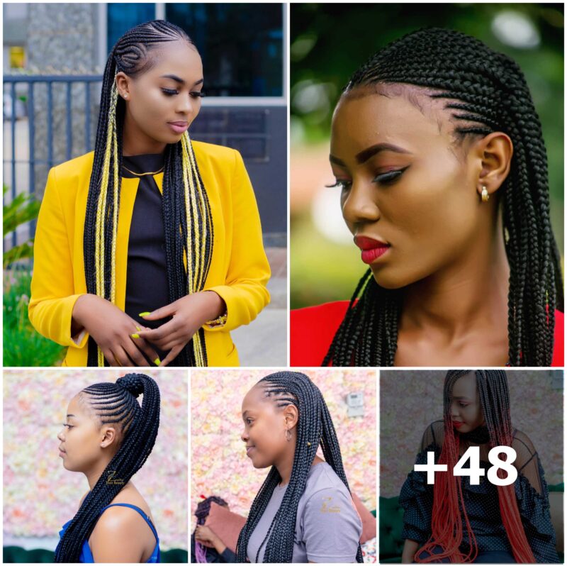 +48 PHOTOS: Luxury braided hairstyles 